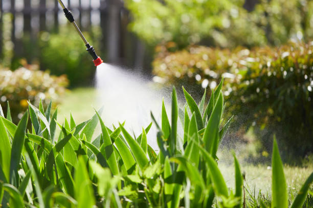 Tamper-Resistant Bait Stations for Rodents in Walden
