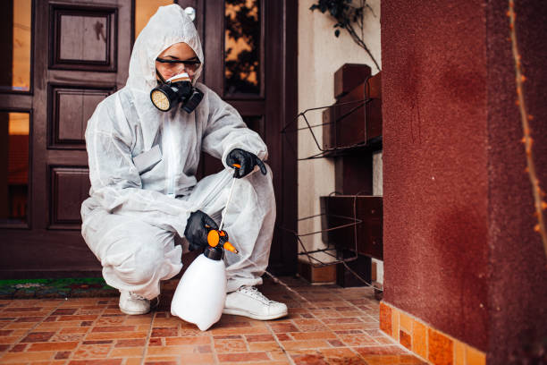 Attic and Crawl Space Rodent Treatment in Walden